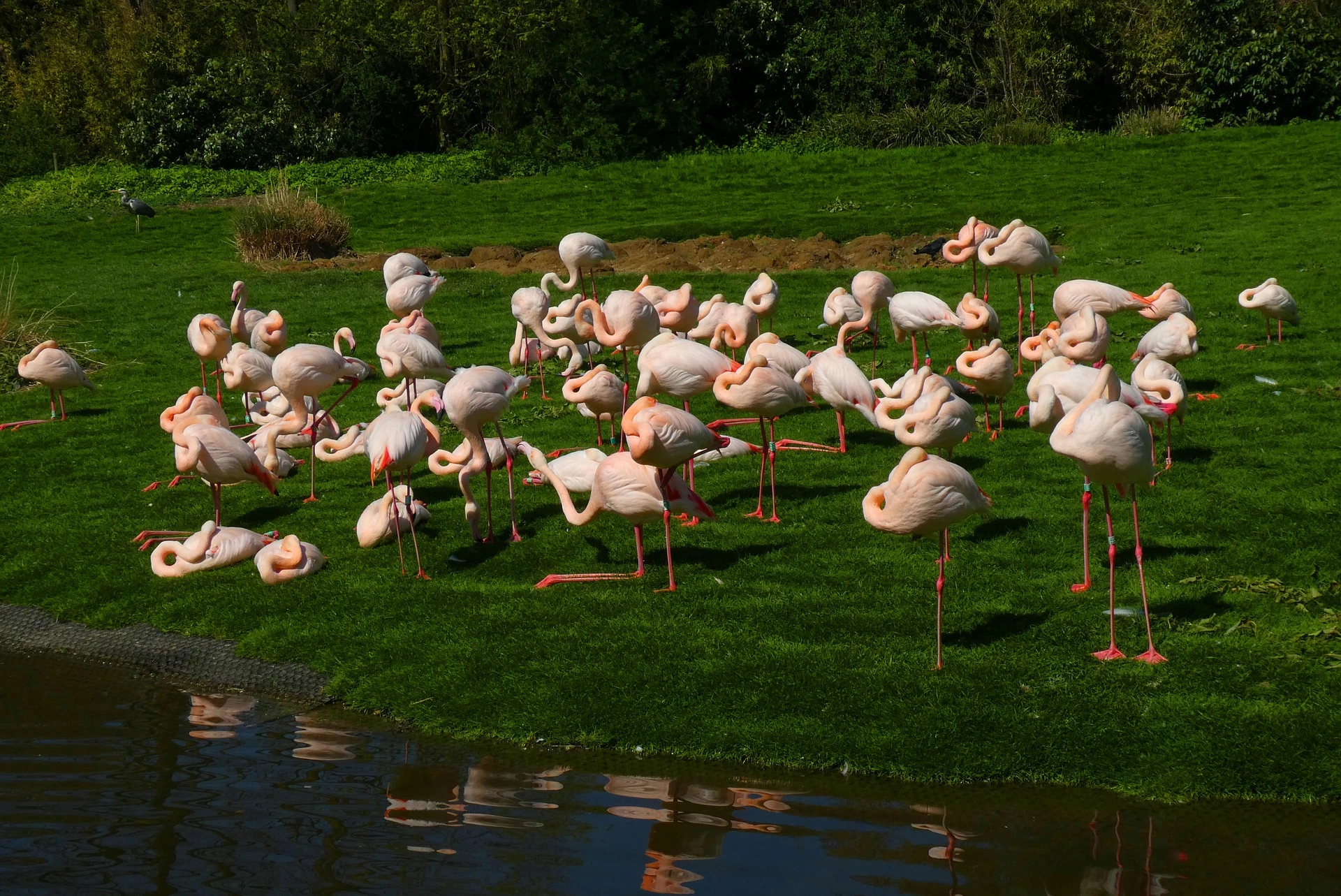 Rotterdam Zoo (Diergaarde Blijdorp)