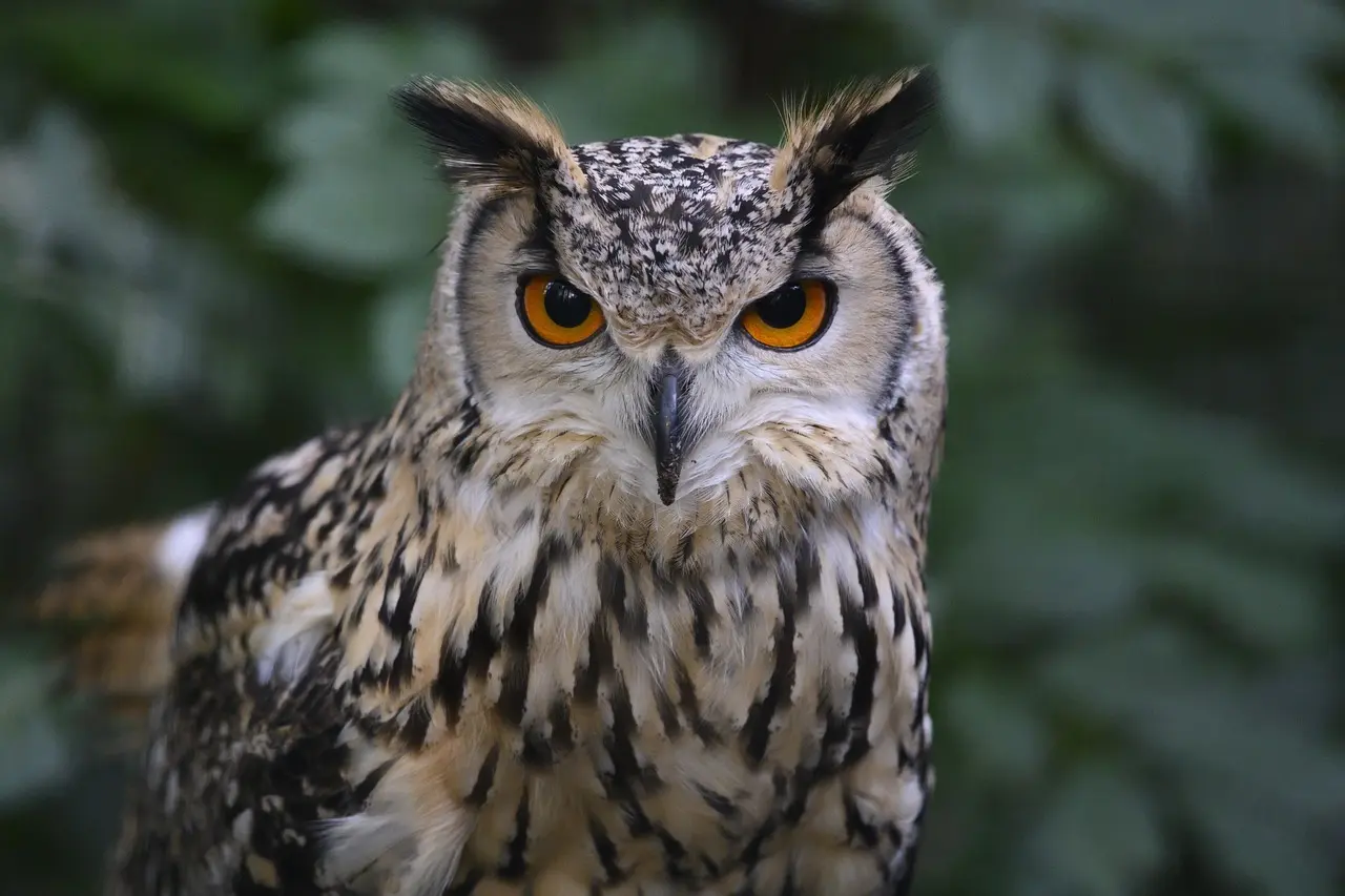 Er Oceanium i Blijdorp et besøg værd?